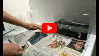 Video über Möglichkeiten Fischtransport